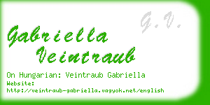 gabriella veintraub business card